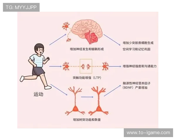 《探索运动的多维度价值：从身体健康到心理调节的全面解析》