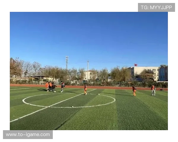 激情燃烧的赛场上青春与梦想在体育竞技中闪耀辉光