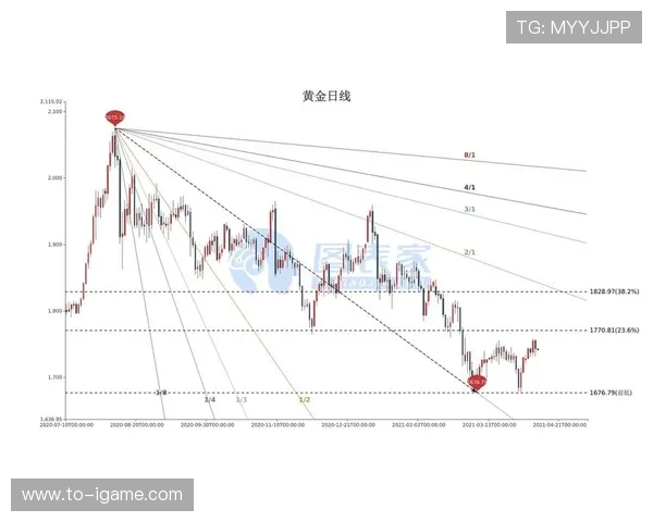 福建浔兴股份对阵焦点战局全面解析与未来走势分析
