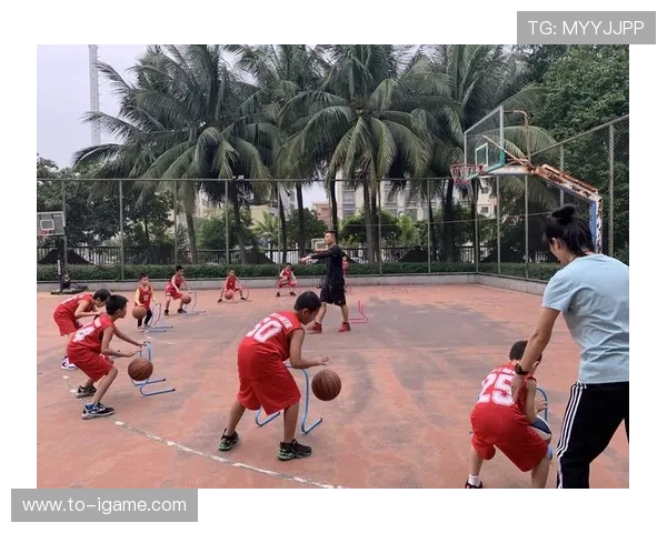 篮球运动的魅力与技巧：从基础训练到职业生涯的全方位解析