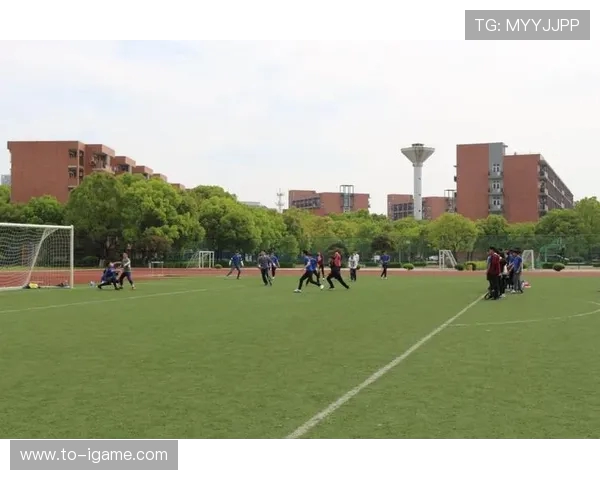 西安飞盘队近期表现分析与未来发展方向探讨