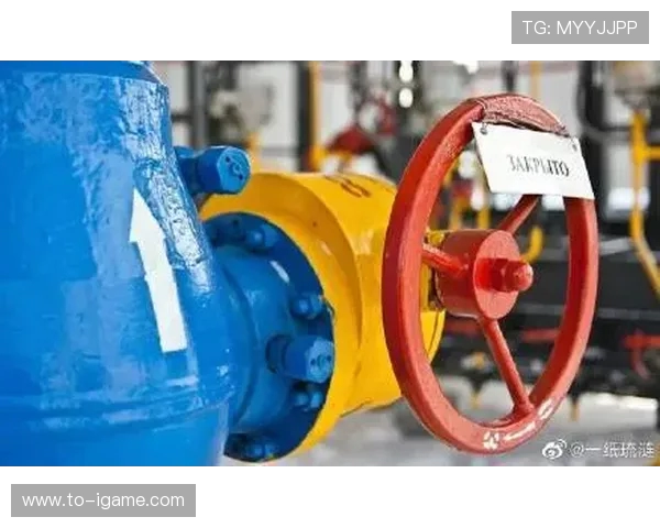 亚马尔地区的能源战略与全球市场的未来发展趋势分析 亚马尔地区的能源战略与全球市场的未来发展趋势分析